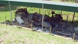 Чудеса случаются: авиакатастрофа вертолета Сикорский 19 июля 2008 года