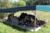 Чудеса случаются: авиакатастрофа вертолета Сикорский 19 июля 2008 года