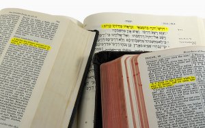 За прошлый год вышло 19 новых переводов Библии