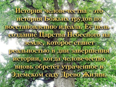 История человечества