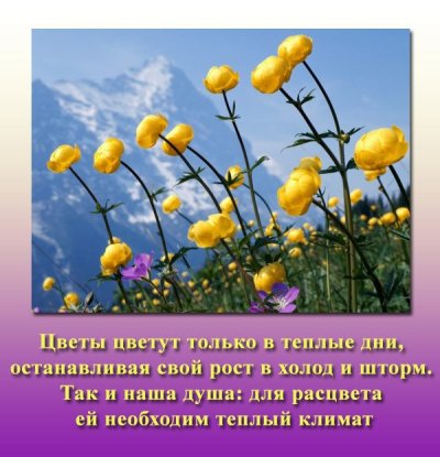 Тепло наших сердец