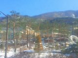 Общая корейская служба
