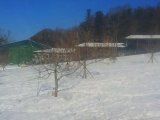 Общая корейская служба
