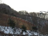 Общая корейская служба