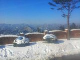 Общая корейская служба
