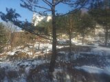 Общая корейская служба