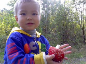 Выводы к 36-ти годам. Будь честен 