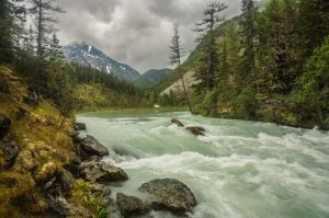 Что я понял прогуливаясь по берегу реки.