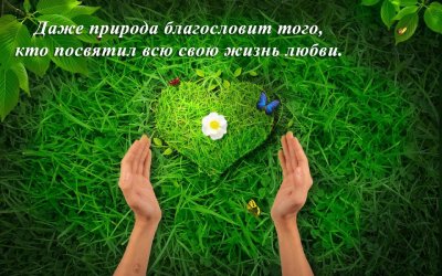 Любите всем сердцем