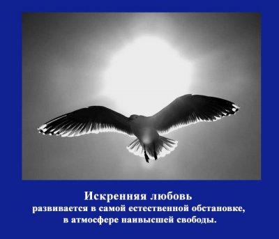 Любовь развивается в естественной обстановке
