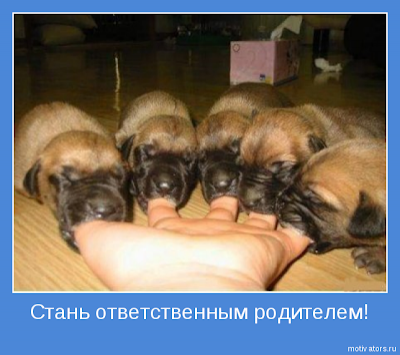 Наследники. Оставляй следы в будущем...