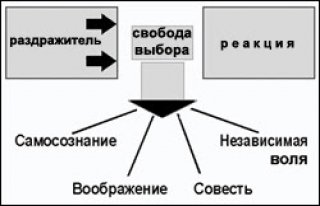 Четыре уникальных человеческих дарования
