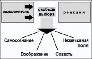 Четыре уникальных человеческих дарования